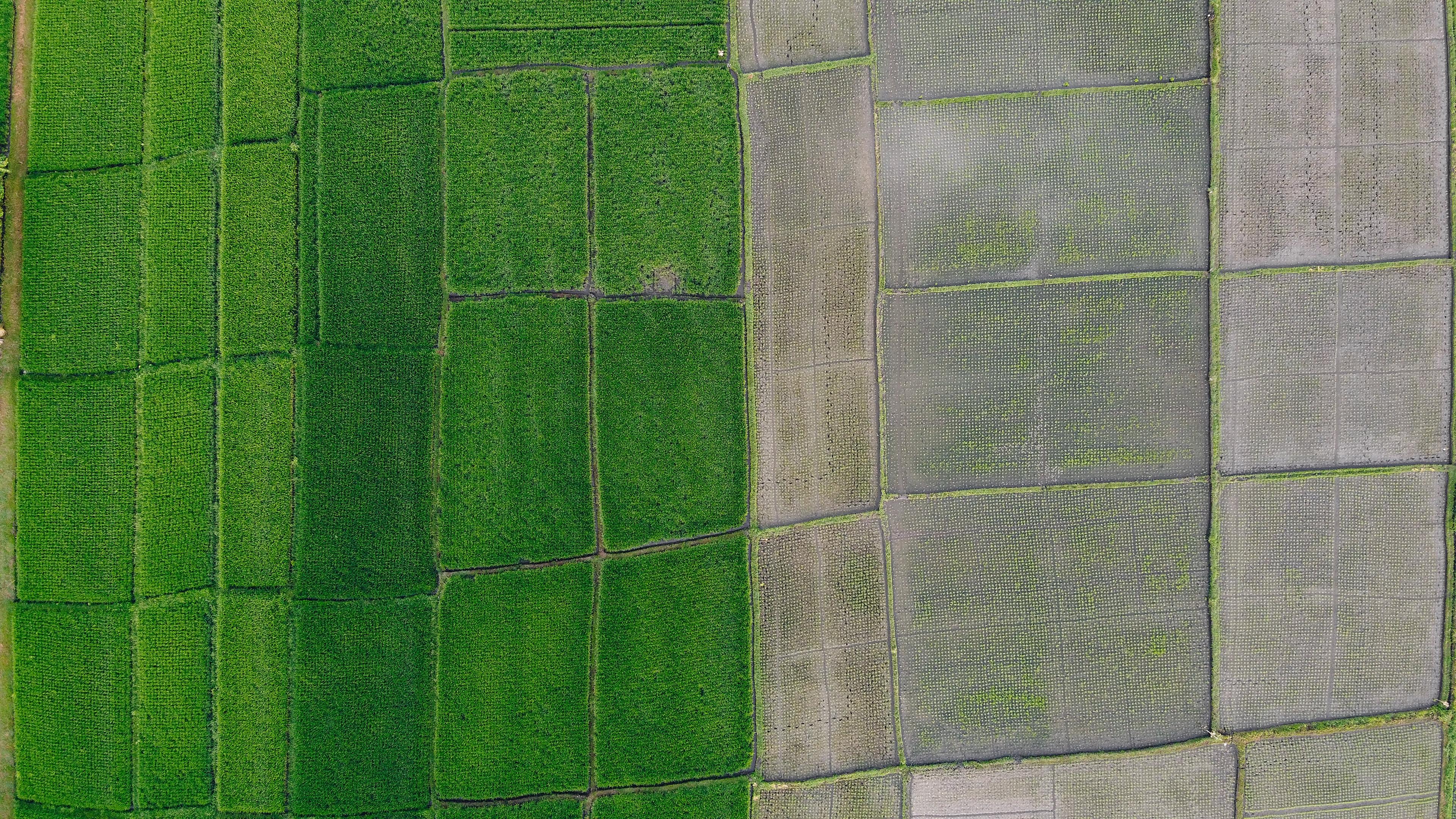 Farming background